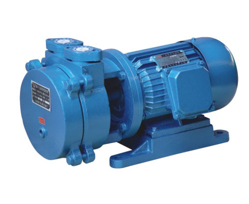 SZB-type vacuum pump